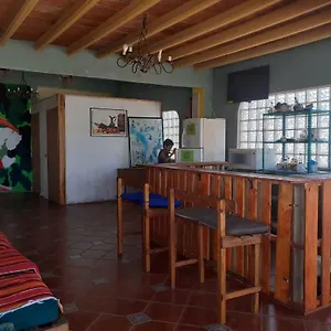 Enjoy Vallarta 19 Hostel Puerto Vallarta