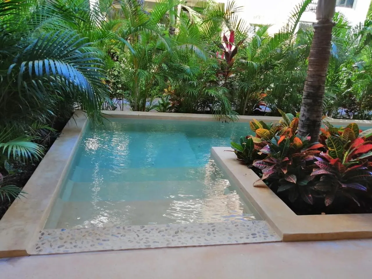 Alma De Flores Private Pools Suites Tulum Hotel