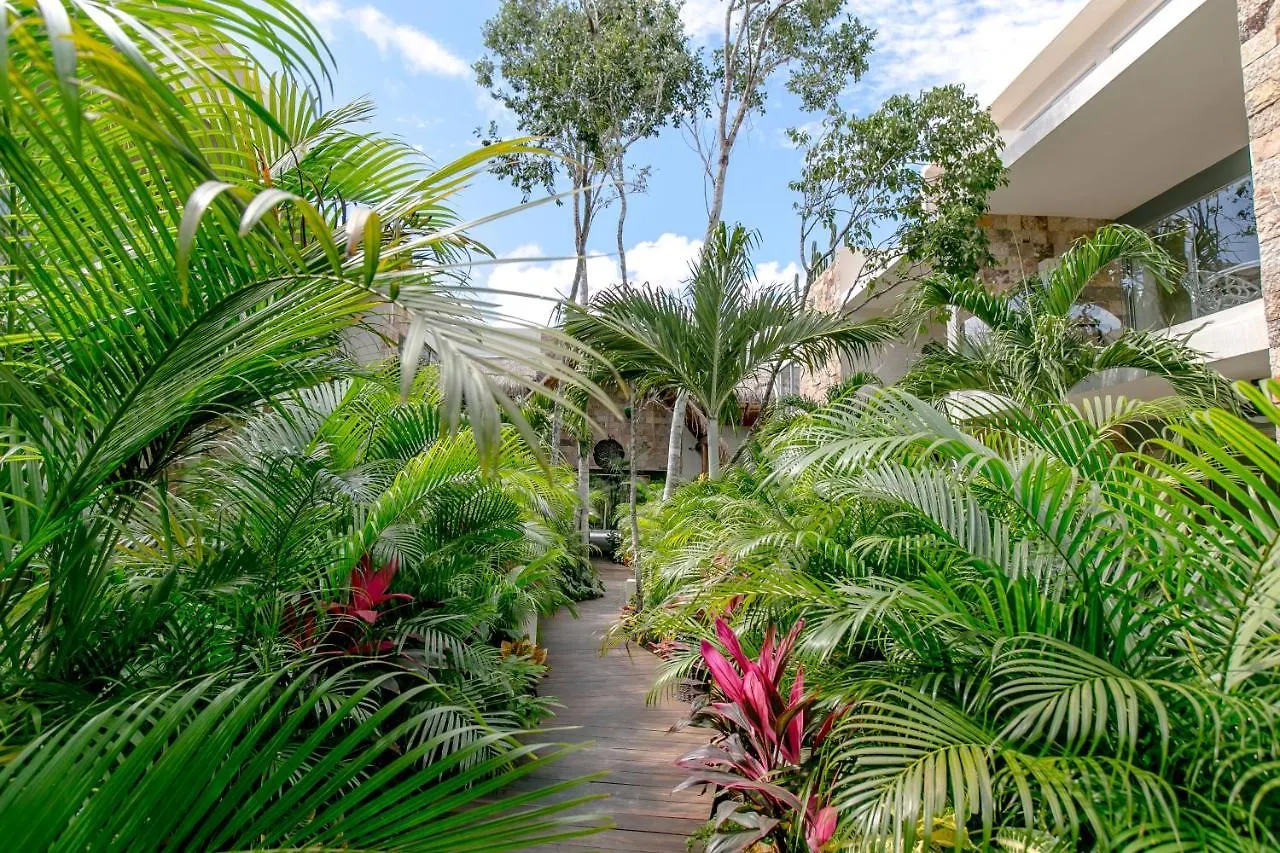Alma De Flores Private Pools Suites Tulum